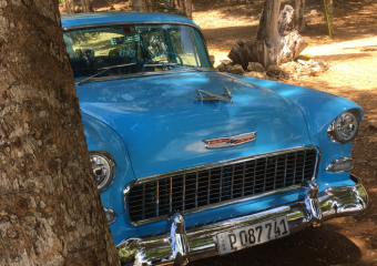 Bild Cuba - die Perle der Karibik Reisebericht